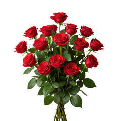 Naklejka premium Lush bouquet of velvet red roses with emerald green leaves and thorny stems isolated on a solid white background, elegant classic romantic atmosphere