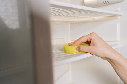 Housewife cleaning empty refrigerator shelf, wiping down interior with yellow sponge, focusing on hygiene, domestic chores and home kitchen sanitation. Concept of household chores and housework.