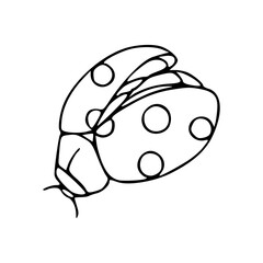 cute ladybug line art illustration isolated on white © Zen20