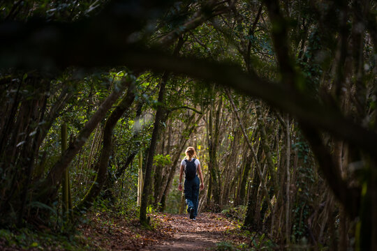 Trekker walking through forest path in Cantabria, Spain