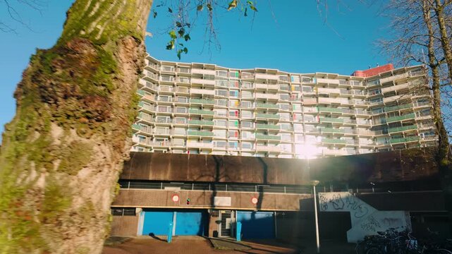Large retro apartment block with colorful balconies seen behind mossy tree trunk in Amsterdam. Brutalist or functionalist residential architecture during sunny winter day.
