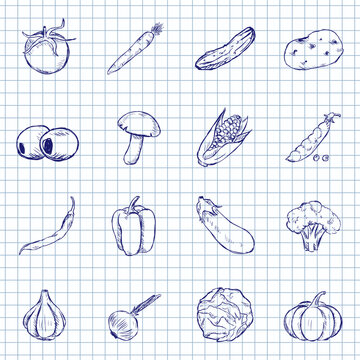 Blue Ink Sketch Set of Vegetable Icons