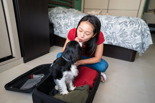 Asian woman bonding with dog while packing for trip