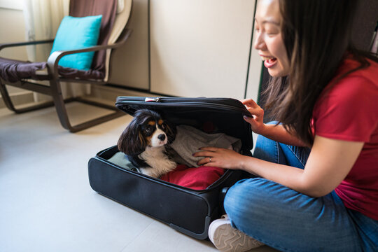 Asian woman packing suitcase with dog for pet travel