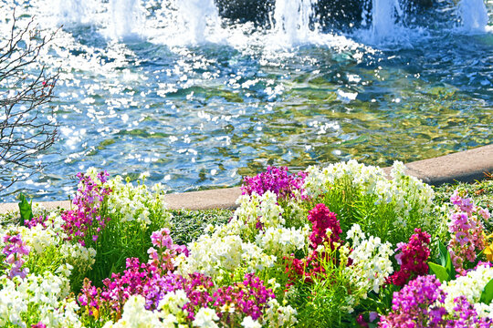 カラフルなお花と噴水