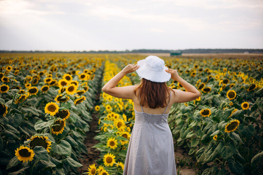 Woman in dress walking through sunflower field