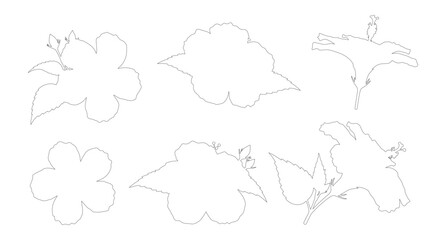 Minimalist hibiscus flower line art set, tropical floral outlines in black and white, 6 botanical vector silhouettes for summer wedding invitations © M