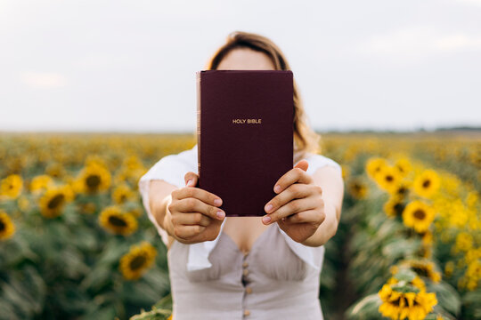 Woman holding Holy Bible in sunflower field outdoors
