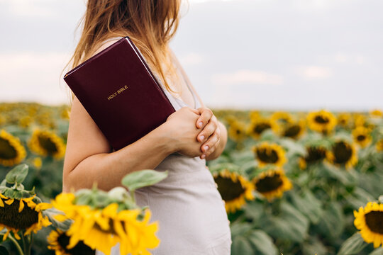 Woman holding Holy Bible in sunflower field at sunset