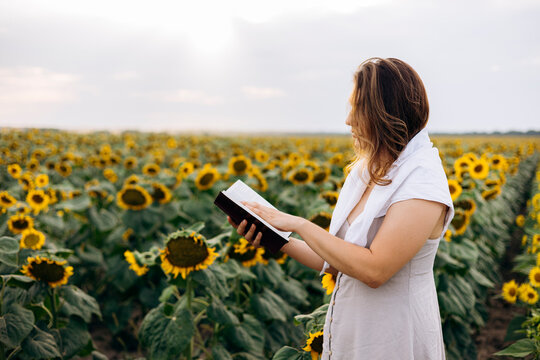 Woman reading Holy Bible in sunflower field at sunset