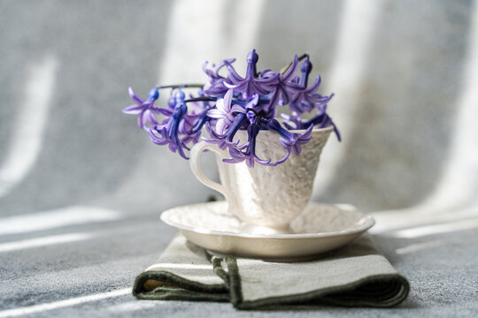 Delicate spring hyacinth in elegant white teacup
