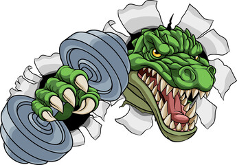 A crocodile, dinosaur or alligator lizard weight lifting trainer, exercise or body building gym cartoon sports mascot holding weights dumbbell © Christos Georghiou