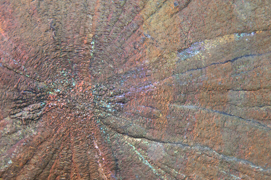 Abstract texture in rugged landscape macro view