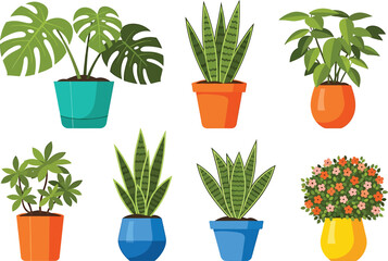 Fototapeta premium Colorful Potted Plants on White Background