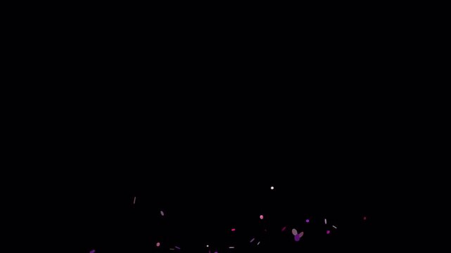 Fuchsia and magenta confetti bursts across black void