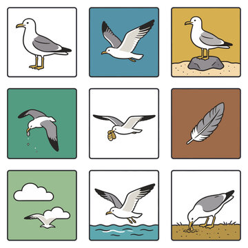 Seagull collection of nine icons, various actions and environments.