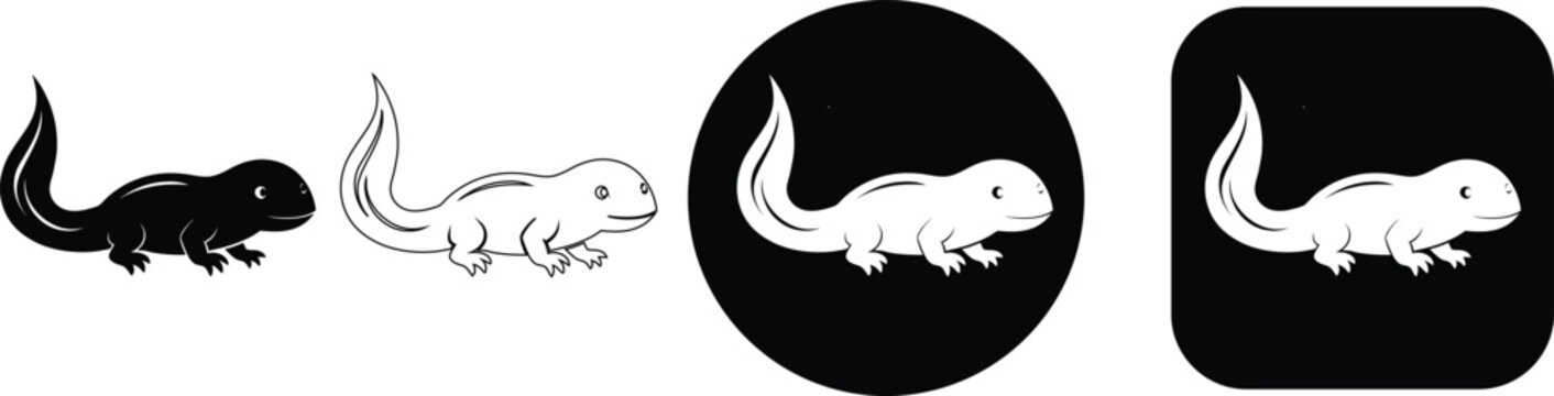 Set of Minimalist Salamander and Newt Amphibian Nature Vector Icons in Detailed Black and White Silhouette and Outline Styles png transparent