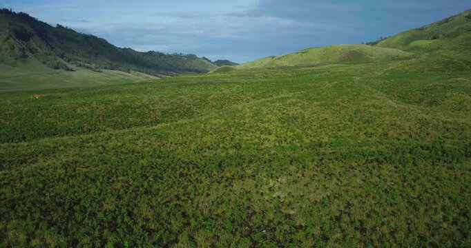 Aerial Drone Footage of Green Hills in Bromo with Scenic Mountain Landscape