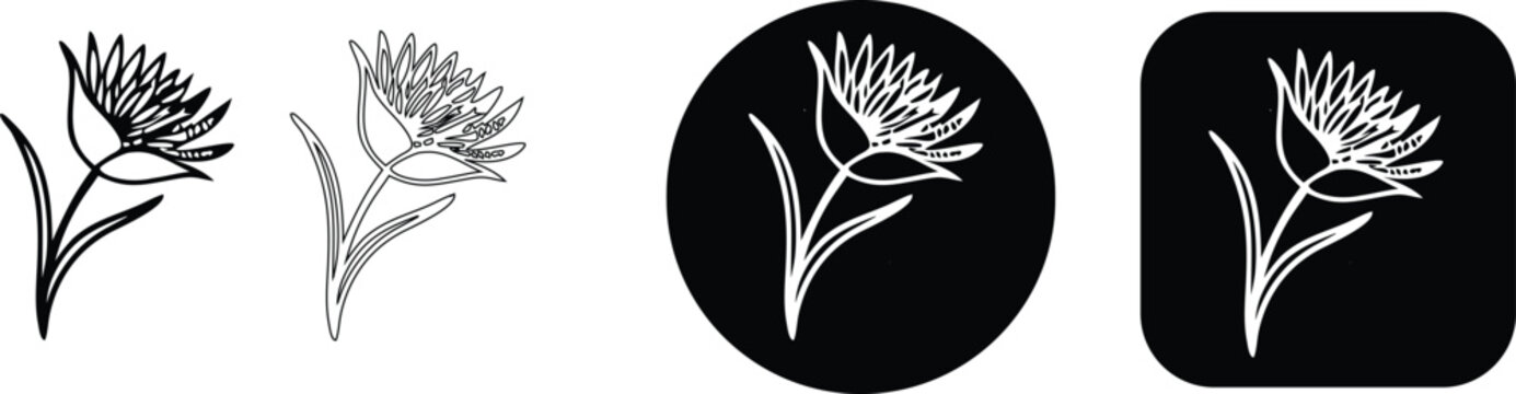 Set of Botanical Flower Vector Elements Featuring Hand Drawn Cornflowers and Thistles in Minimalist Outline Styles