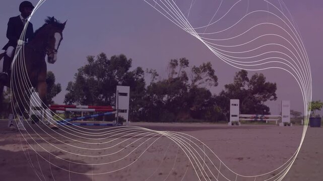 Male rider entering from left guiding cantering horse across arena for show while swirl overlaying