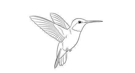 Fototapeta premium A hummingbird is flying in an upward motion. The bird is depicted in a simple line drawing style.