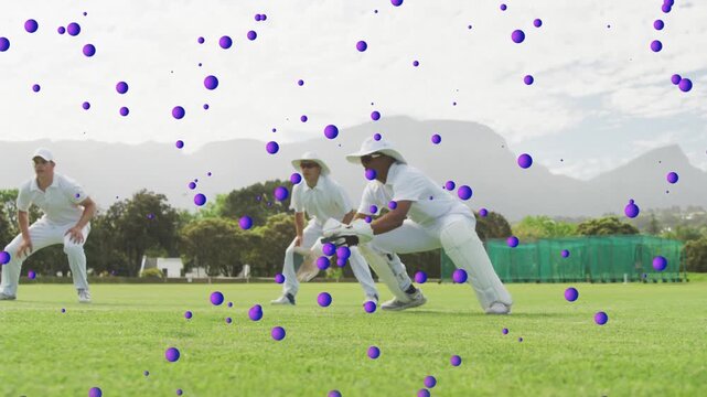 Cricket keeper securing ball then ball slipping free, fielders diving and recovering purple overlay