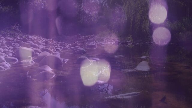 Purple overlay shifting, revealing shallow stream details, stones glinting, ripples increasing