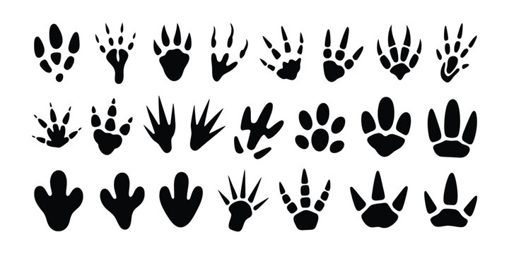 Dinosaur Footprint Vector Set, Black Dino Silhouette Fossil Paw Prints, Monster Reptile Footsteps, Paleontology Fossil Track Collection with Tyrannosaurus and Triceratops Tracks