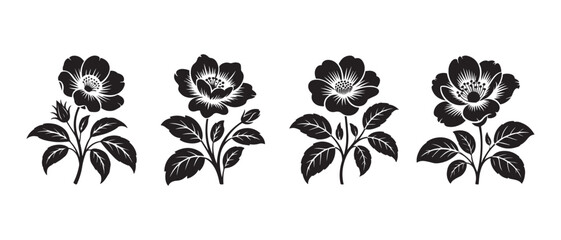 Obraz premium Set of black and white vintage style floral illustrations.