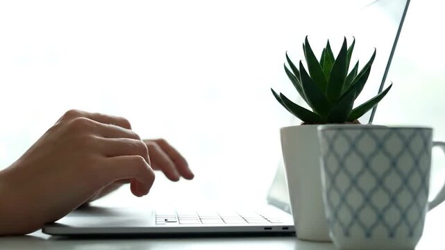 A person hands typing on a portable computer keyboard with a small plant and a beverage cup nearby on a desk surface