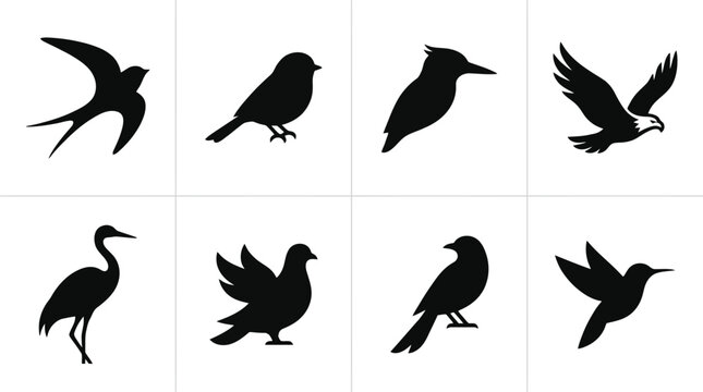Siluetas de ocho p&aacute;jaros diferentes en vuelo y posados, mostrando una variedad de formas y tama&ntilde;os de aves.