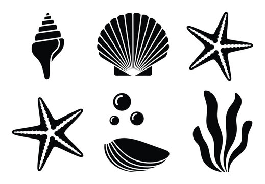 Collection of Black and White Marine Life Seashells, Starfish, Bubbles, and Seaweed