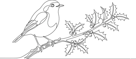 Robin Bird Perched on Holly Branch with Berries Line Art Illustration © Nasir