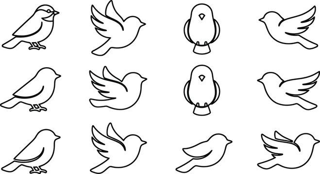 Ilustraci&oacute;n de un conjunto de p&aacute;jaros dibujados a mano en diferentes poses y &aacute;ngulos, con un estilo de contorno simple y limpio.