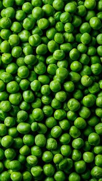 Pisum peas, a healthy food, contain vitamin C, vitamin K, iron, and folic acid. They originated in the Mediterranean region and Western Asia.