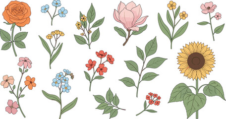 Colorful botanical flower collection featuring rose sunflower magnolia wildflowers and green leaves isolated on white background illustration © MdImran