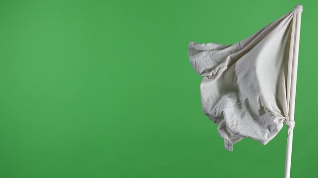 White fabric flag tied to a pole waving against a green background. Concept of surrender, peace, neutrality, truce, symbol, and chroma key template for design and video editing.