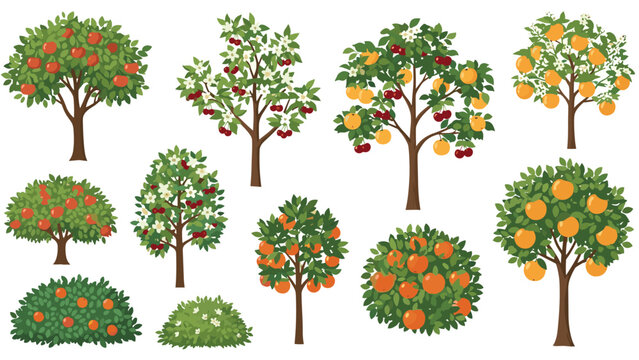 Assorted collection of various fruit trees including apple, orange, and cherry trees in different stages of blooming and bearing fruit.