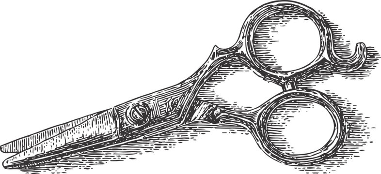 Vintage hair scissors illustration detailed black and white engraving barber tool precision cutting instrument