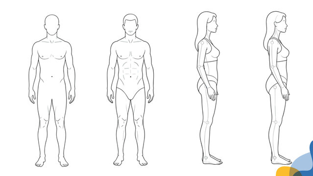Anatomical outlines of male and female human figures shown from both front and side profiles for medical or fitness reference.