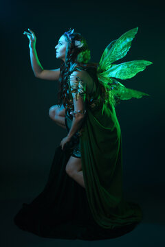 portrait of female model wearing fantasy fairy costume, green dress, cloak, butterfly wings and crown. full length crouching  pose, isolated on dark studio background.