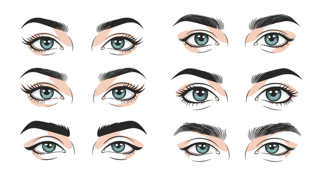 Collection of detailed female eye illustrations featuring various eyebrow shapes and blue irises to demonstrate makeup techniques.