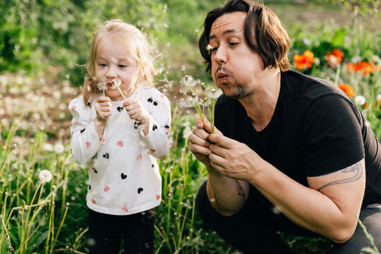 Playful father and toddler daughter blowing dandelions together