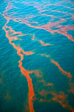 Oil spill Gulf of Mexico