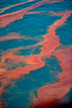 Oil spill Gulf of Mexico