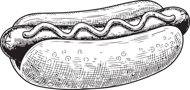 Vintage hot dog etching vector illustration detailed hand drawn food sketch design