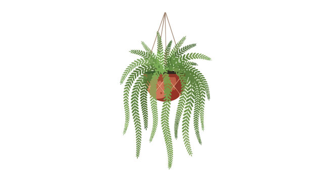 Lush Green Hanging Fern Indoor Plant in Pot Isolated on White Background Vector Illustration
