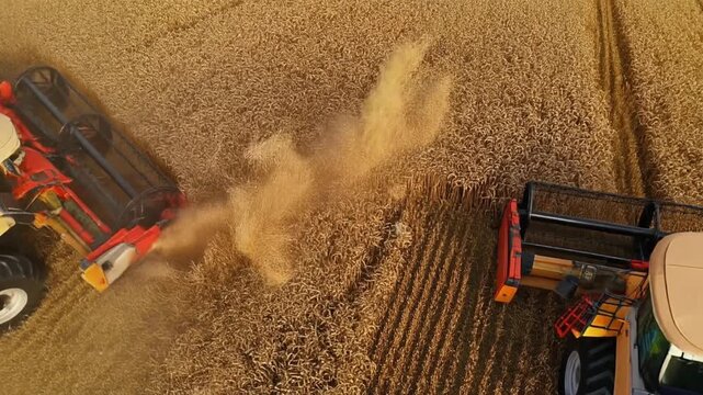 Aerial View of Combine Harvester Reaping Wheat in Golden Field