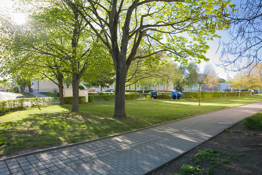 Sunny urban park with trees casting shadows over a paved walkway, surrounded by residential buildings and greenery.