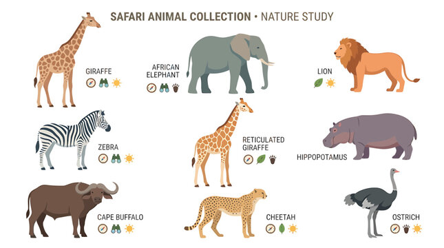 Safari Animal Collection: Giraffe, Elephant, Lion, Zebra, Hippo, Buffalo, Cheetah, Ostrich